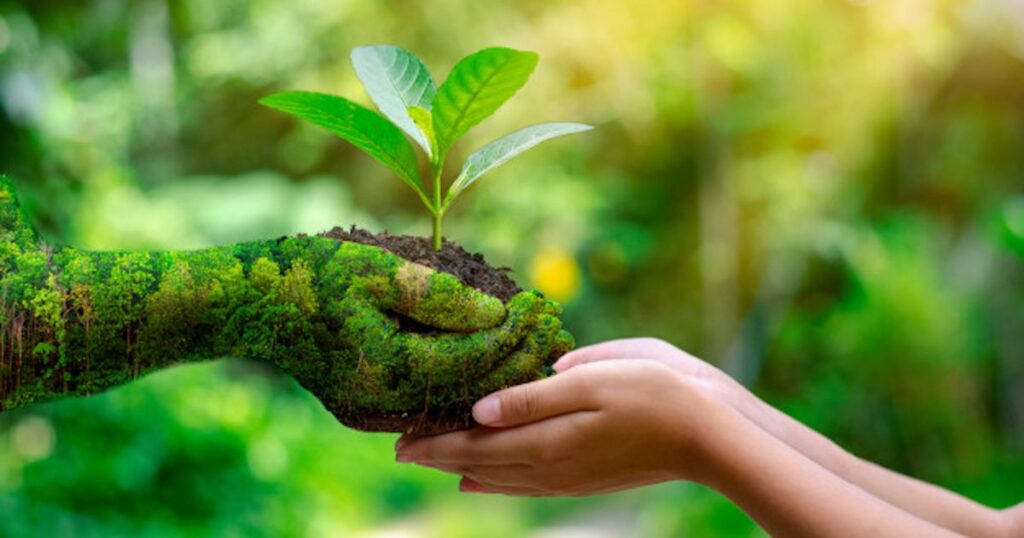 Balancing Human and Plant Health