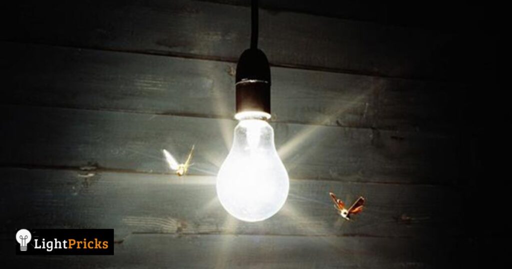 Some Ways To Prevent Bugs From Being Attracted To LED Lights: