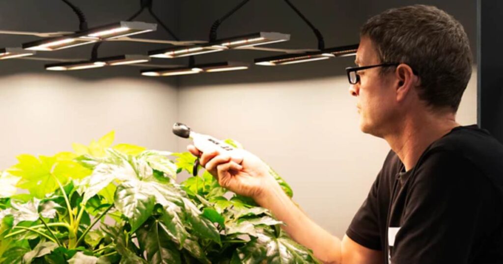 Care and Maintenance of LED Grow Lights